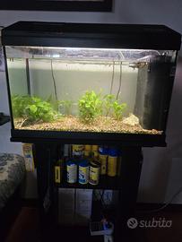 acquario 80lt con mobile 