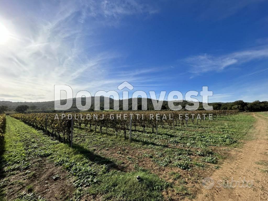 Rustico / Casale di 125 m² con 2 locali a Capalbio - Vista 3
