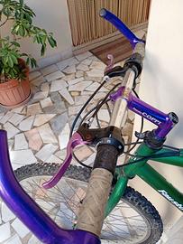 Bici FAUSTO COPPI