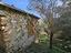 Immagine 9