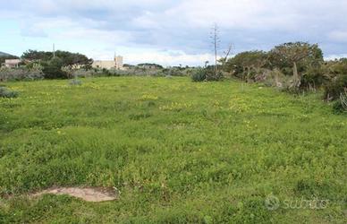 ESEC 87/2020 - Terreno agricolo a Favignana