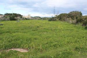 ESEC 87/2020 - Terreno agricolo a Favignana