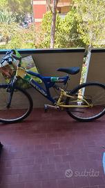 Bicicletta uomo