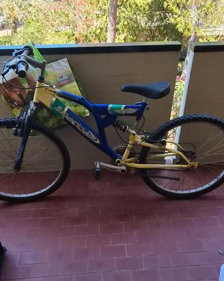 Bicicletta uomo