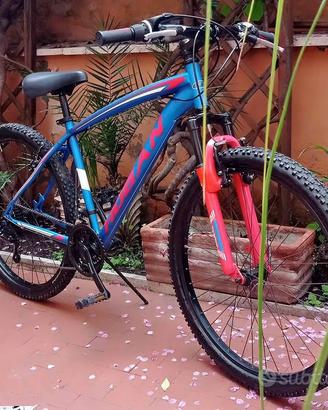 Mountain bike