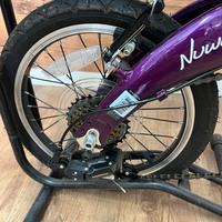 Dahon pieghevole