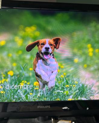 Monitor tv philips