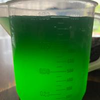 Fitoplancton per acquario marino