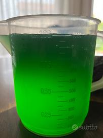 Fitoplancton per acquario marino