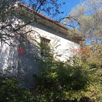 Cantina Cineto Romano [Cod. rif 3266458VRG]