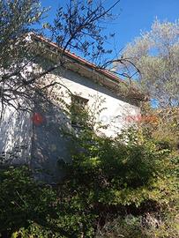 Cantina Cineto Romano [Cod. rif 3266458VRG]