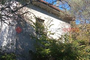 Cantina Cineto Romano [Cod. rif 3266458VRG]