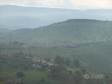 Terreno c.da Sabucina