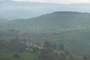 Terreno c.da Sabucina