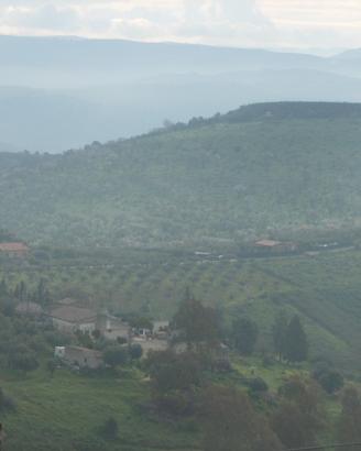 Terreno c.da Sabucina