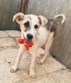 Una famiglia per la vita per lory