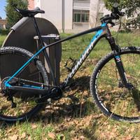 Bici Mtb 29 carbonio Specializet Stumpjumper