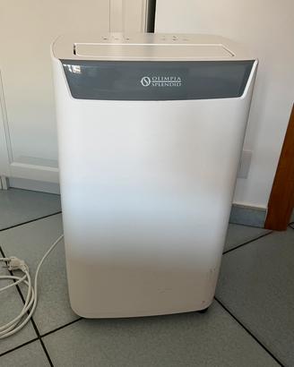 Deumidificatore Olimpia Splendid Aquaria S1 20 P