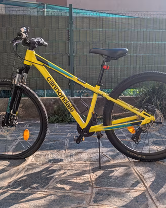 bicicletta cannondale mb per ragazzo/a Trail 2019 