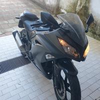 Kawasaki Ninja 300