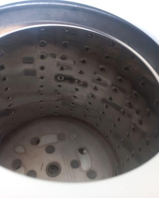 lavatrice per cane. gatti.animale domistice