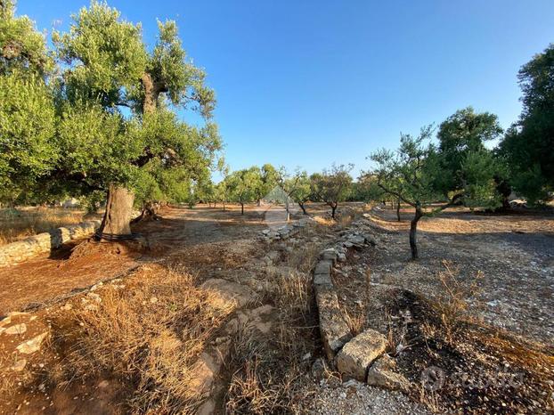 TER. AGRICOLO A FASANO