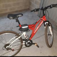 Coppia bici come nuove