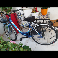 Bici Donna Nuova Casedei