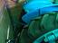 Immagine 3