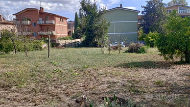 Terreno agricolo