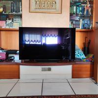 TV 4k LG OLED 55" + Garanzia