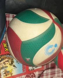 Pallone Molten