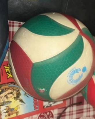 Pallone Molten