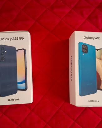 2 cellulari Samsung