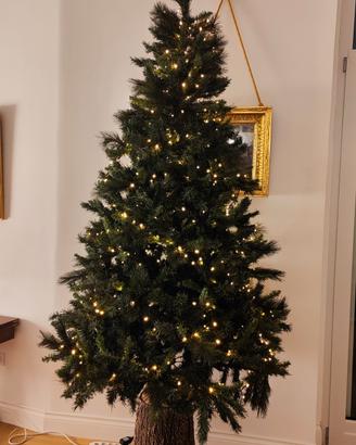 albero di natale 