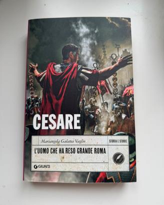 Libro “Cesare. L’uomo che ha reso grande Roma”