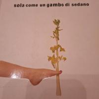 Libri Luciana Littizzetto