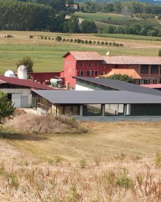 Azienda agricola