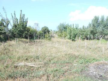 Terreno di 1000 m² a Giugliano in Campania