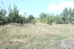 Terreno di 1000 m² a Giugliano in Campania