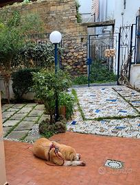 Casa vacanze Lamia Resi con giardino a Lacco Ameno