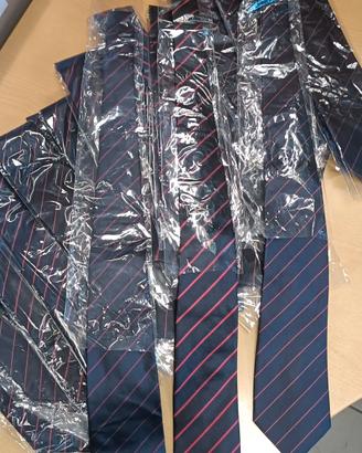Set di 24 Cravatte stile Regimental 