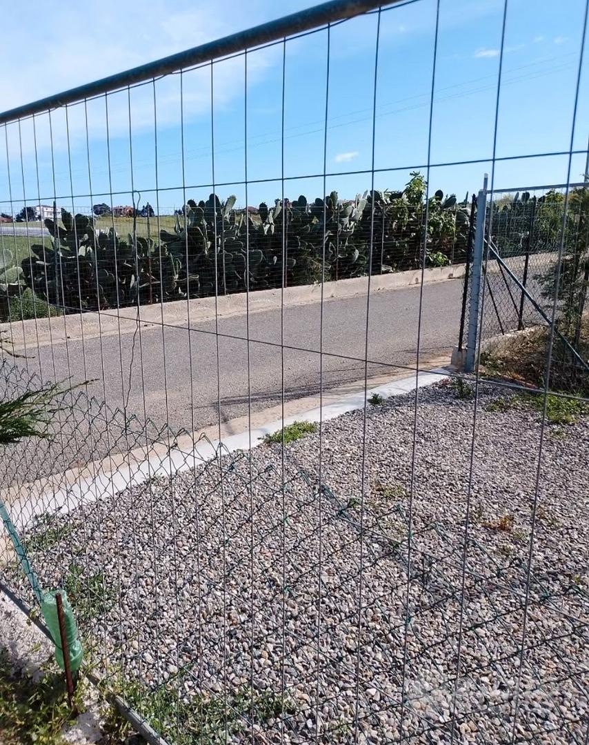 Terreno agricolo di 3800 mq + 100 piante di ulivet - Vista 3