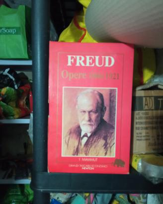 Libro freud