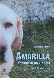 Libro Amarilla