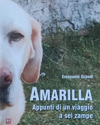 Libro Amarilla