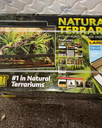Terraio per rettile,Natural Terrarium