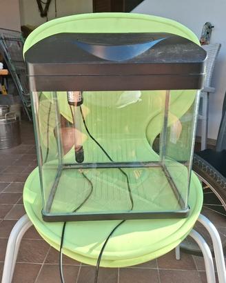 acquario  per pesci 