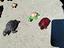 Immagine 3