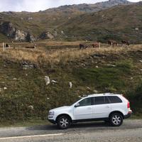 VOLVO XC90 AWD Geartronic Executive